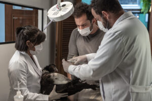 658146_As-Corujinhas_Fotos-Still_159